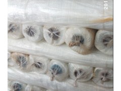 玻璃纖維布-- 兆虎玻纖布有限公司