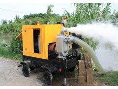 供應(yīng)上海廠家直銷大型柴油水泵|柴油機(jī)自吸泵|柴油移動(dòng)防汛水泵-- 上海茁柴發(fā)電機(jī)有限公司發(fā)電機(jī)事業(yè)部