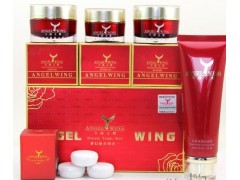 軟盒天使之翼全新包裝，高效祛斑美白組合-- 廣西南寧市護(hù)膚精品化妝品公司銷售部