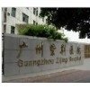 免手術快速治療腰椎間盤突出