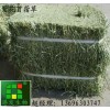 供應濱州苜蓿草供應,苜蓿草粉,苜蓿草
