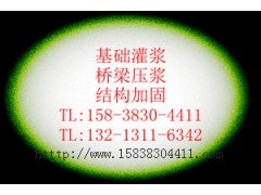 混凝土復(fù)合界面劑-- 北京中德新亞建筑技術(shù)有限公司