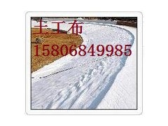 公路養護土工布加盟要多少錢?投資公路養護土工布要多少錢?-- 陵縣華龍化纖有限公司