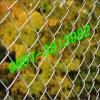 [新疆不銹鋼勾花網(wǎng)又名不銹鋼菱形網(wǎng)]