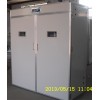 四川潤德孵化機 全自動大型孵化機