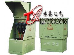 高壓成套設(shè)備廠家定制DFW高壓分接箱 美式高壓電纜分接箱-- 河南省泰鑫電氣有限公司