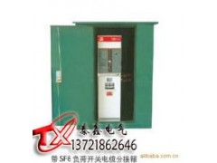 DFW高壓分接箱  高壓分接箱廠家-- 河南省泰鑫電氣有限公司