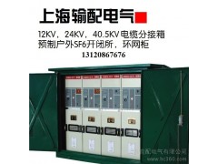 供應(yīng)35kV電纜分接箱/35KV帶SF6開關(guān)電纜分支箱/35kV電纜對(duì)接/分接箱-- 上海輸配電氣有限公司