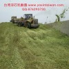 供應臺灣亞芯全株玉米青貯劑