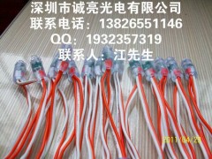 誠(chéng)亮LED防水燈串-- 深圳市誠(chéng)亮光電有限公司