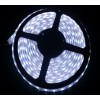 高性價比 LED3528不防水燈條 120燈/1