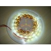 LED軟燈條 5050/3528LED光條