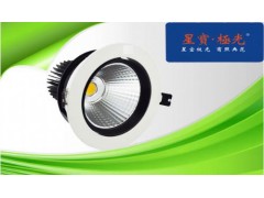 供應(yīng)LED天花燈PAR30-- 深圳市星寶極光照明有限公司