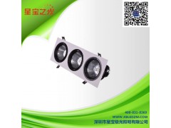 供應(yīng)COB天花燈PAR30-35W-- 深圳市星寶極光照明有限公司