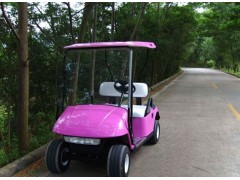 躍迪YD-L高爾夫球車2-- 河北躍迪新能源科技集團(tuán)有限公司