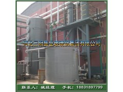 噴淋式填料凈化塔-- 河北三陽盛業(yè)玻璃鋼集團(tuán)有限公司