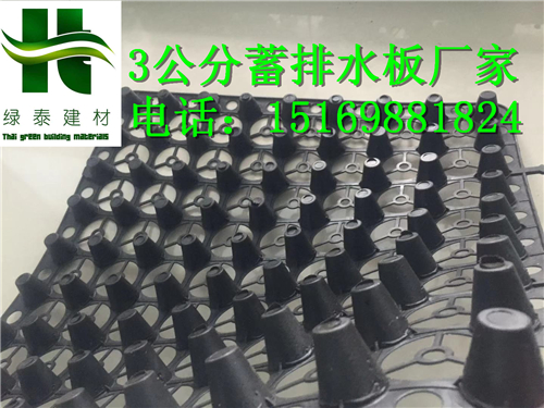 2公分洛陽車庫綠化排水板廠家\20高蓄排水板報(bào)價(jià)-- 泰安市澤瑞土工材料有限公司