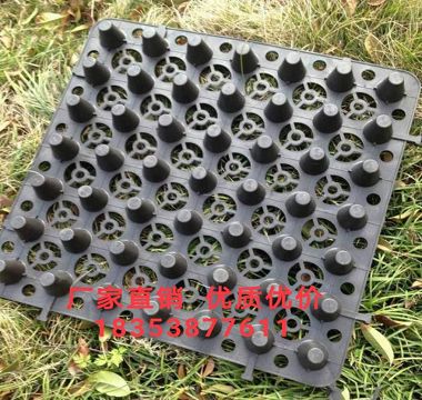 5公分植草格衢州車庫黑色達標排水板-- 泰安市澤瑞蓄排水土工材料有限公司