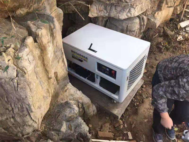大澤靜音15kw無刷汽油發電機 TOTO15-- 上海豹羅實業有限公司