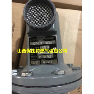 美國LOC477費希爾627-1217-30001減壓