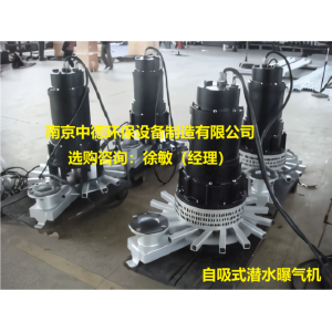 離心式潛水曝氣機(jī)現(xiàn)場運(yùn)行須知；潛水