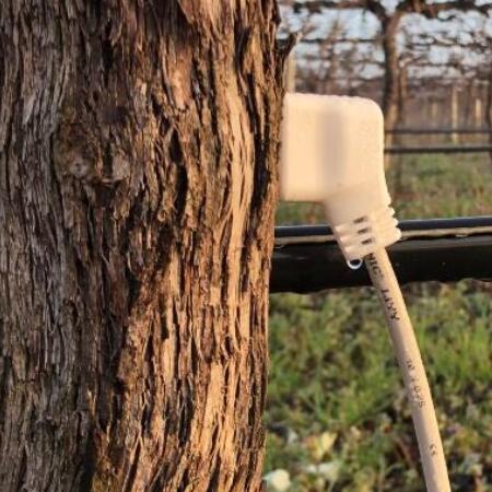 HPV 莖流量傳感器/Sap Flow Sensor-- 河南長澤生態科技有限公司